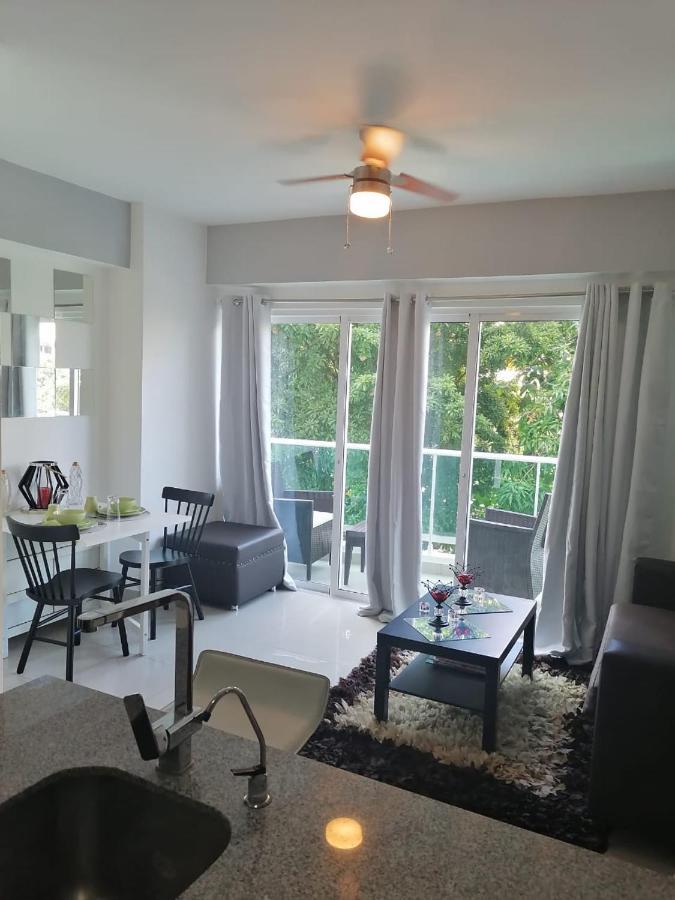 Armonia 408 Apartment In Gazcue Santo Domingo Eksteriør billede